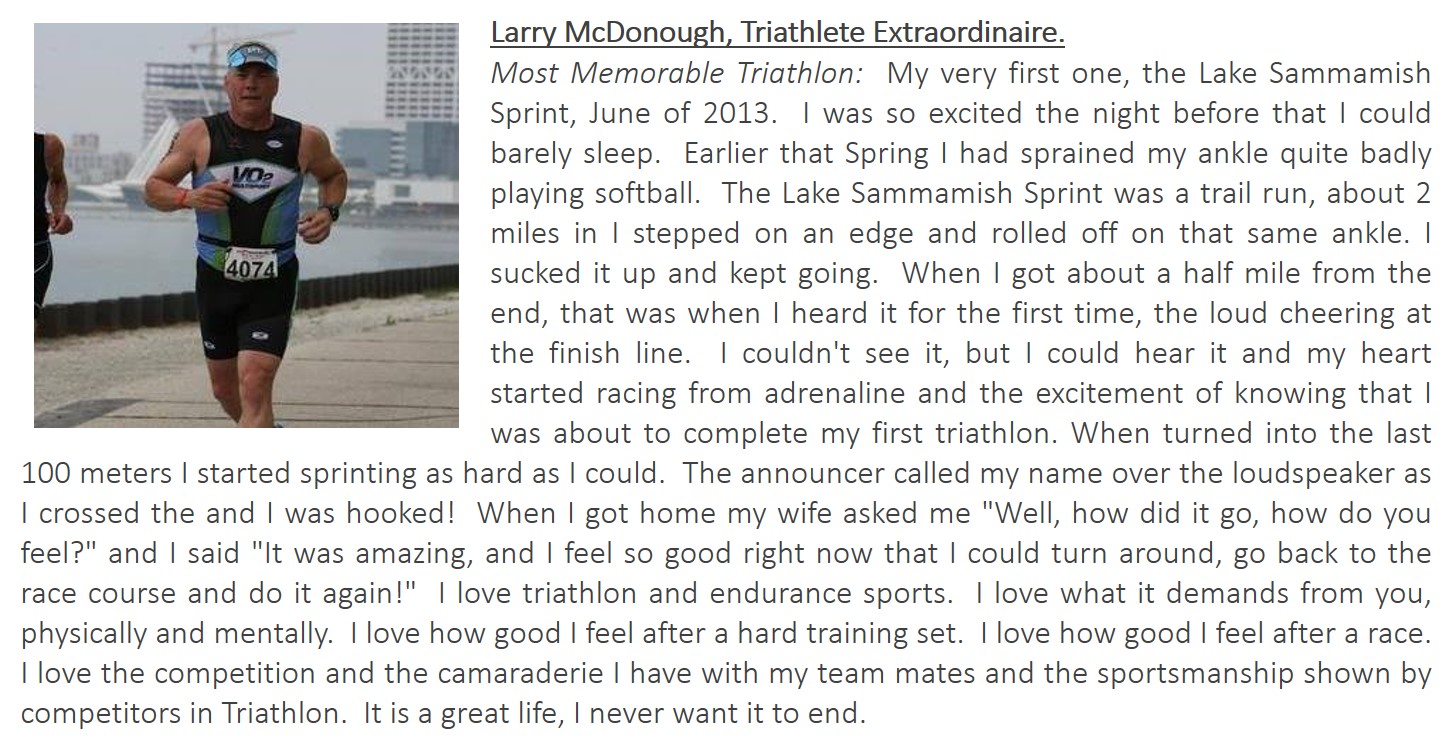 individual-sponsor-summary-mcdonough